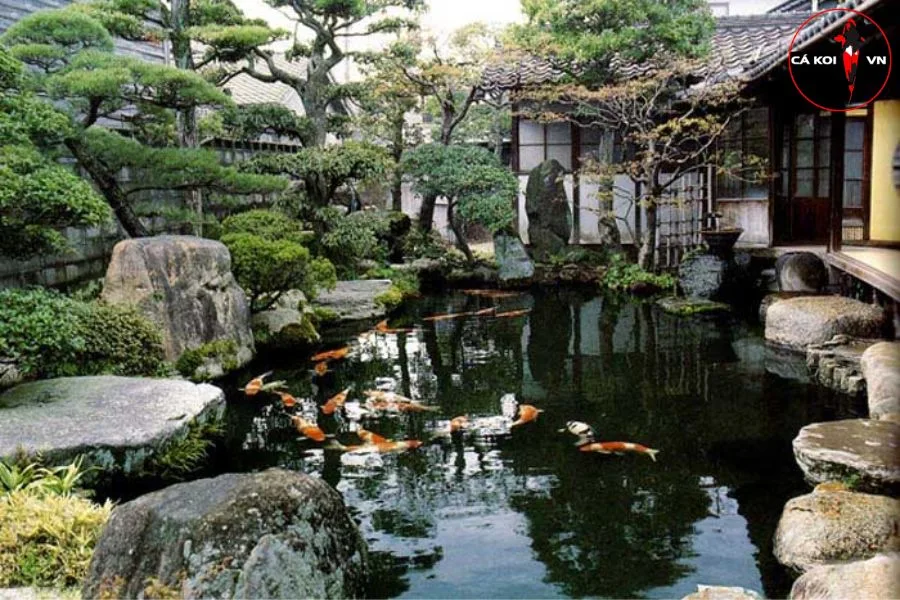 #12+ Mẫu Hồ Cá Koi Nhật Bản Truyền Thống Ấn Tượng