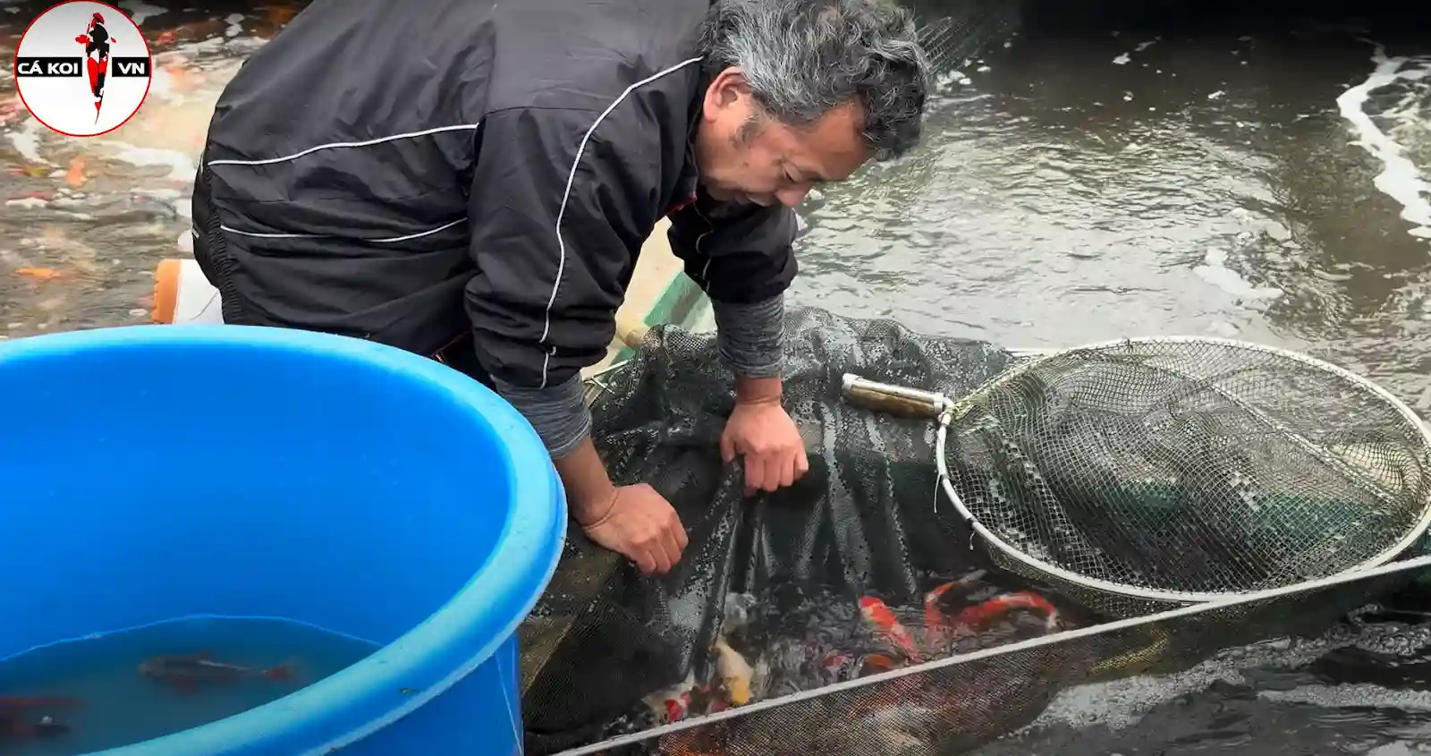 Maruhiro Koi Farm