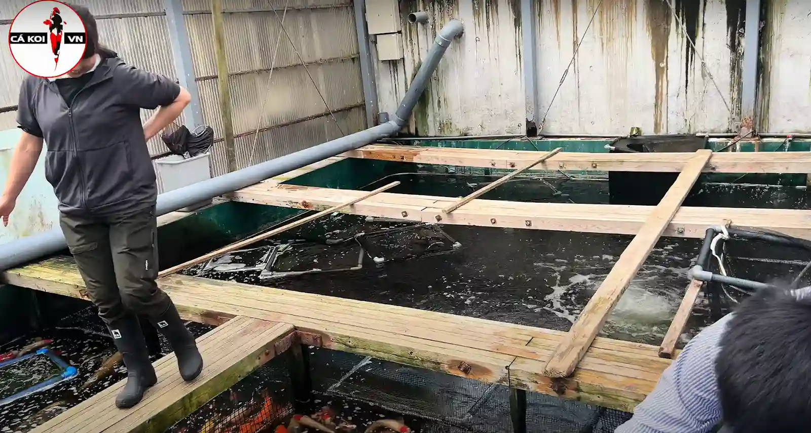 Maruhiro Koi Farm