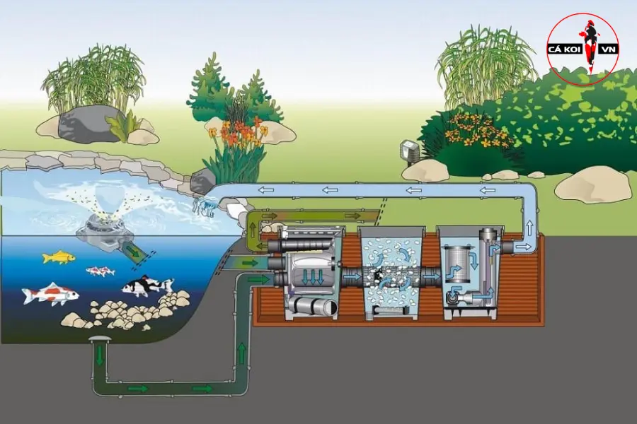 Hệ thống lọc truyền thống cho cá Koi