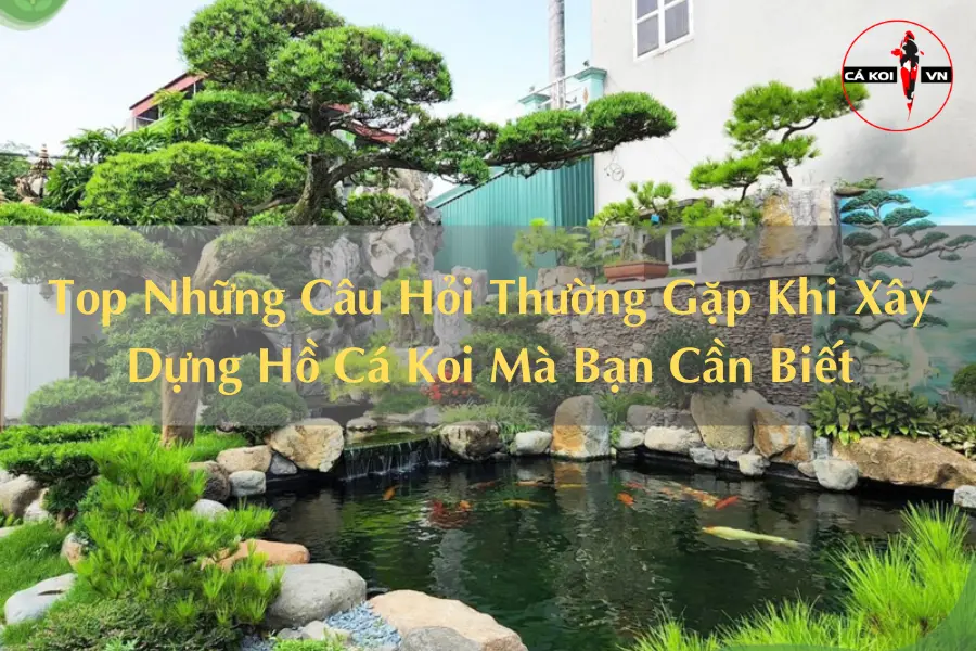 Top Những Câu Hỏi Thường Gặp Khi Xây Dựng Hồ Cá Koi Mà Bạn Cần Biết