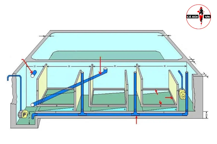 Hệ thống lọc truyền thống cho cá Koi