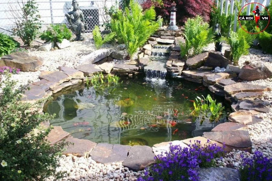 bể cá koi sân vườn
