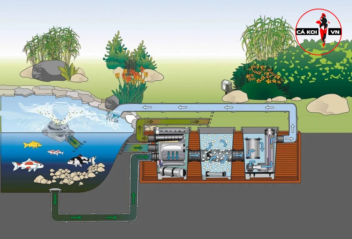 hệ thống lọc nước hồ cá koi ngoài trời