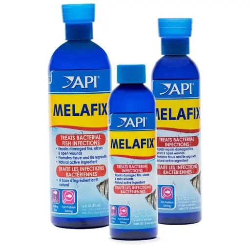 Thuốc Melafix điều trị ghẻ ở cá koi