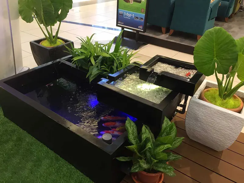 làm hồ cá koi mini