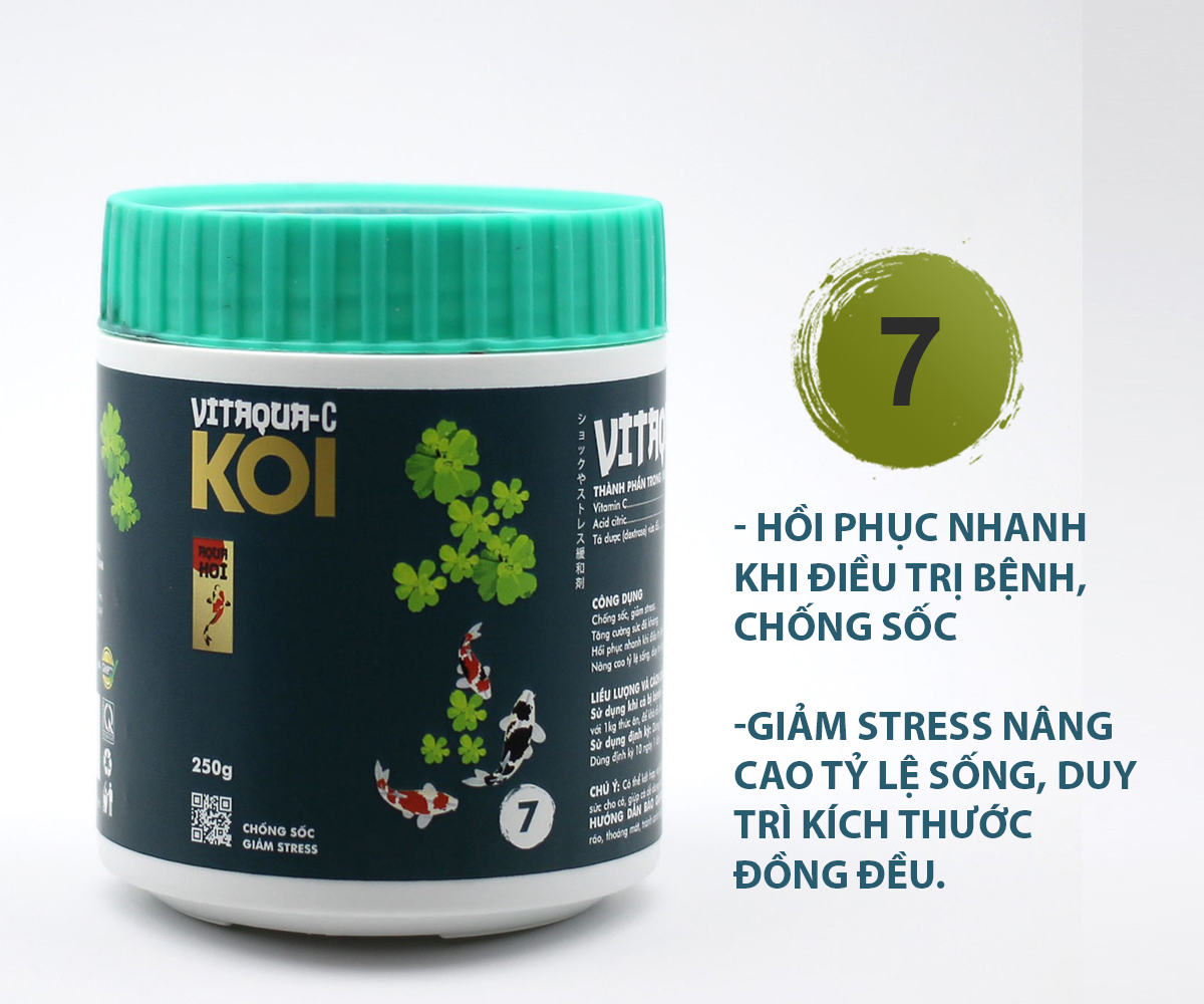 Số 7 Vitamin hỗ trợ điều trị bệnh cá Koi VITAQUA - C, chống sốc, giảm stress (AquaKoi)