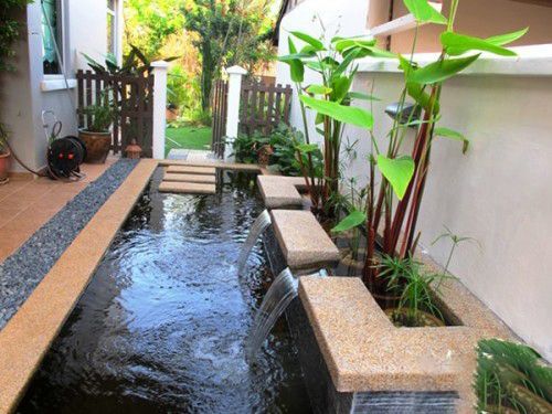 bể cá koi hiện đại